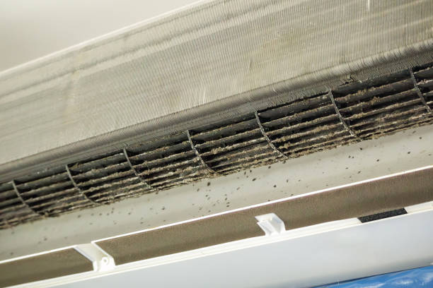 Affordable HVAC Duct Cleaning in Rainbow, CA